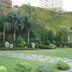 Vista parcial de jardin tropical en un Hotel urbano.