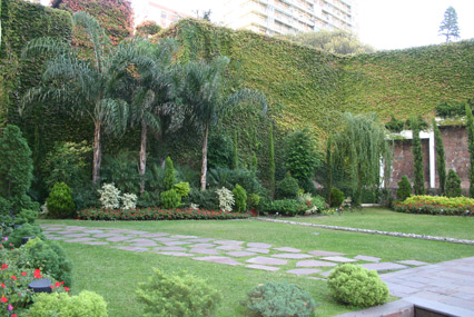 Vista parcial de jardin tropical en un Hotel urbano.